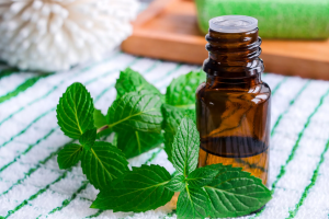 peppermint oil