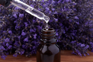 lavander essential oil