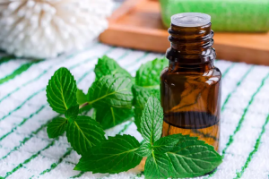 peppermint essentail oil